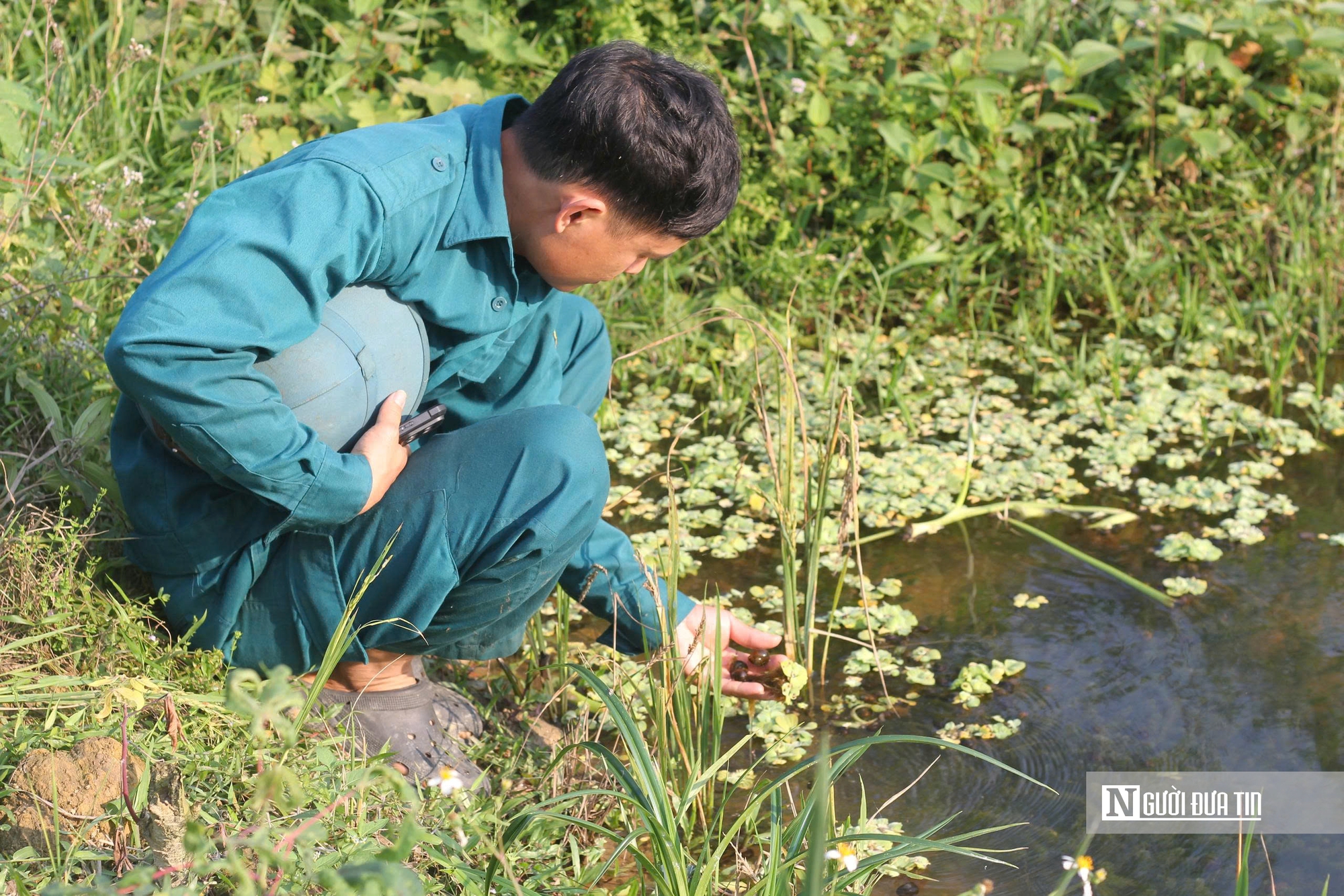 H&agrave; Tĩnh: Nu&ocirc;i &ldquo;v&agrave;ng đen&rdquo;, n&ocirc;ng d&acirc;n thu tiền triệu mỗi ng&agrave;y- Ảnh 2.