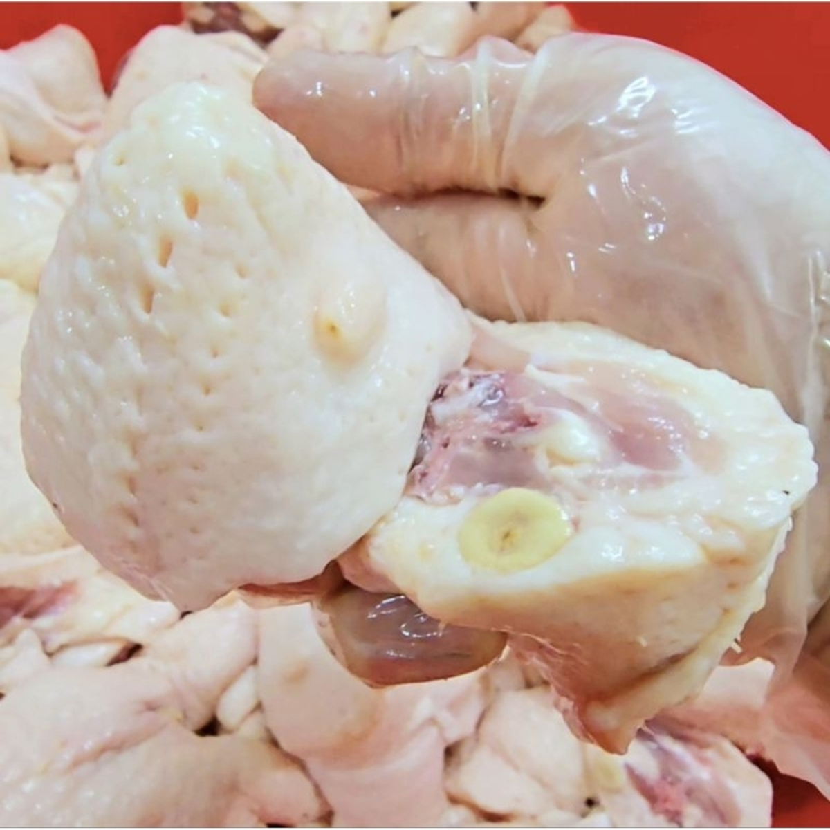 B&aacute;c sĩ chỉ ra bộ phận &ldquo;bẩn nhất&rdquo; của vịt, nhiều người vẫn m&ecirc; ăn v&igrave; tưởng bổ- Ảnh 2.