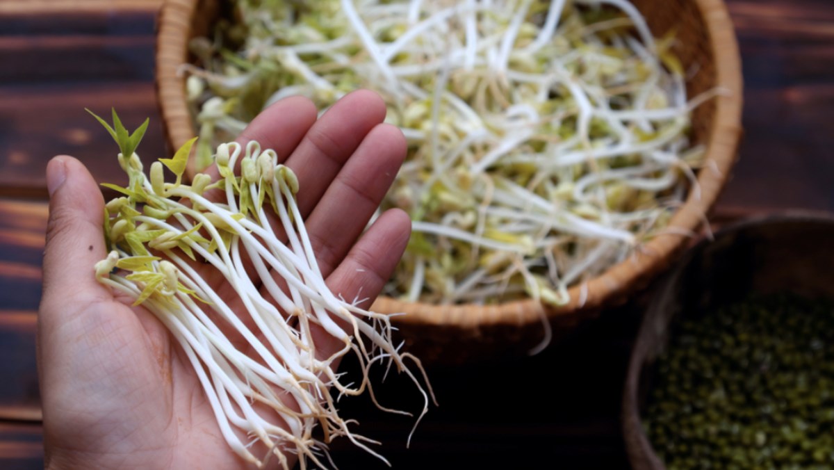 Nếu kh&ocirc;ng giải độc v&agrave;o m&ugrave;a xu&acirc;n, cơ thể bạn sẽ bị tắc nghẽn trong một năm: Đầu xu&acirc;n ăn th&ecirc;m 4 m&oacute;n để l&agrave;m sạch ruột v&agrave; giải độc, bổ gan- Ảnh 2.