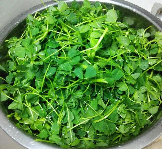 V&agrave;o m&ugrave;a xu&acirc;n, h&atilde;y nấu 2 m&oacute;n ăn từ loại rau tươi mềm lại gi&uacute;p thanh nhiệt, kh&aacute;ng khuẩn, bổ gan v&agrave; bảo vệ mắt- Ảnh 3.