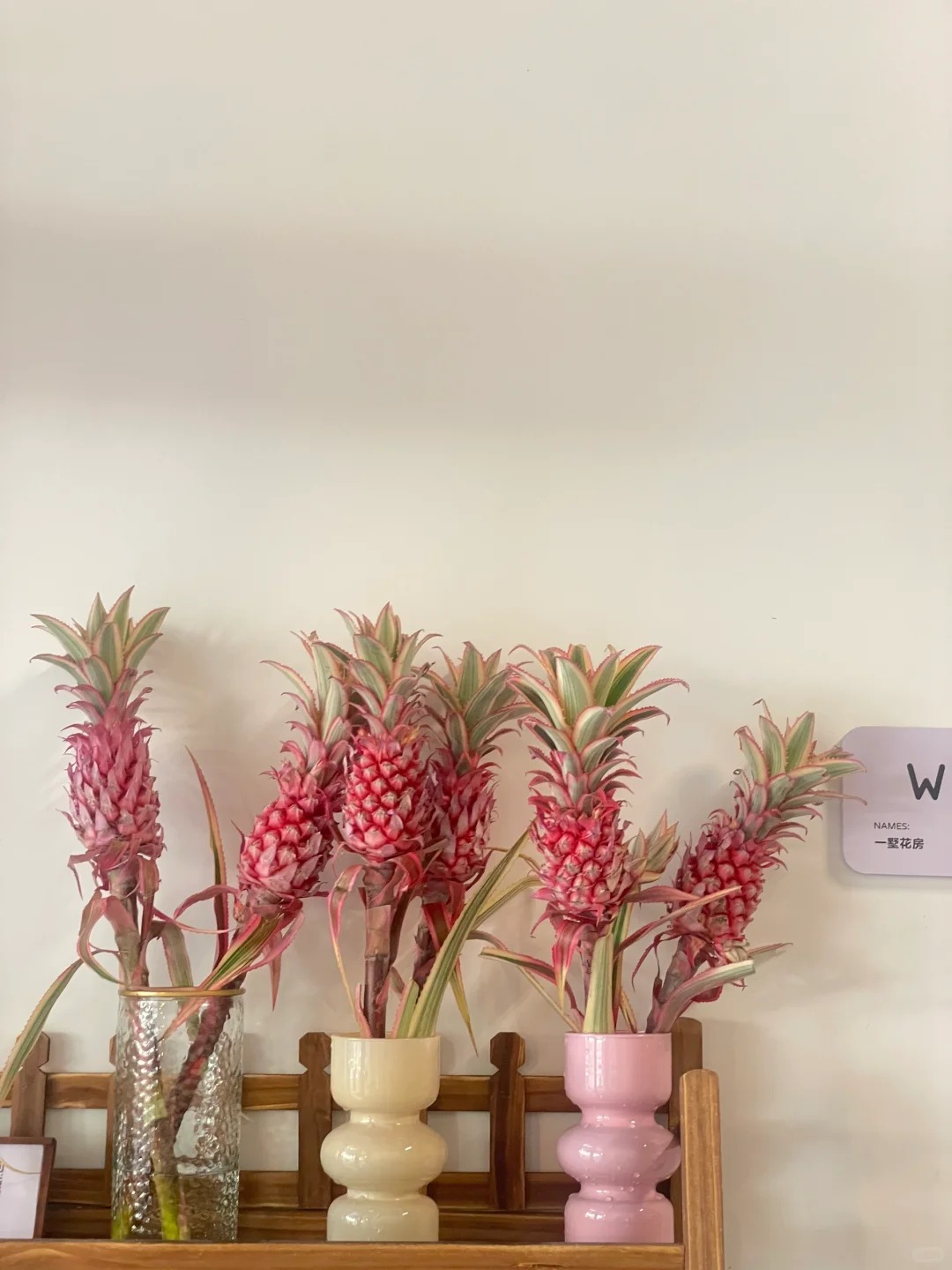 "Ph&aacute;t sốt" với th&uacute; cắm dứa cảnh mini: Thơm nức kh&ocirc;ng gian, chưng tận 4 th&aacute;ng kh&ocirc;ng hỏng m&agrave; gi&aacute; chỉ chừng 400 "c&agrave;nh"!- Ảnh 14.