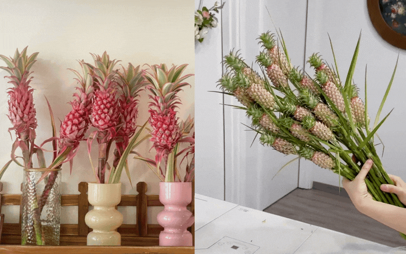 "Ph&aacute;t sốt" với th&uacute; cắm dứa cảnh mini: Thơm nức kh&ocirc;ng gian, chưng tận 4 th&aacute;ng kh&ocirc;ng hỏng m&agrave; gi&aacute; chỉ chừng 400 "c&agrave;nh"!- Ảnh 1.