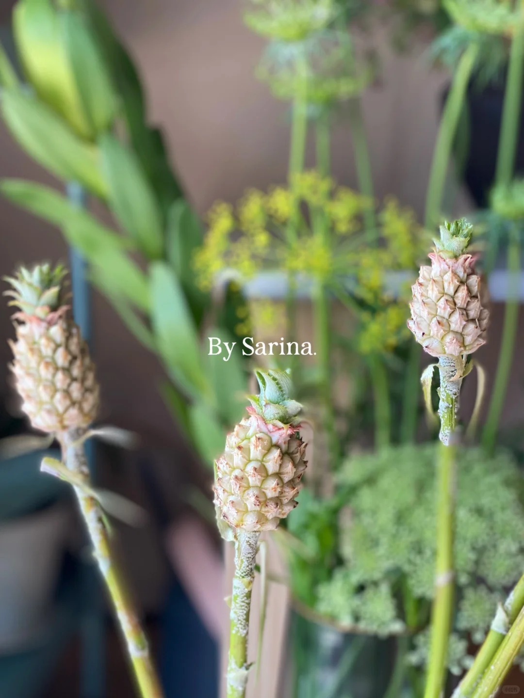 "Ph&aacute;t sốt" với th&uacute; cắm dứa cảnh mini: Thơm nức kh&ocirc;ng gian, chưng tận 4 th&aacute;ng kh&ocirc;ng hỏng m&agrave; gi&aacute; chỉ chừng 400 "c&agrave;nh"!- Ảnh 13.