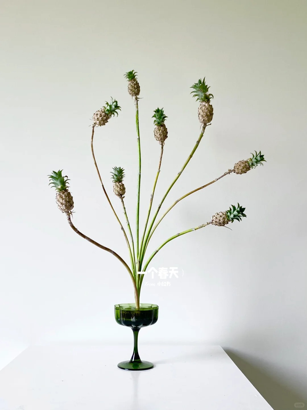 "Ph&aacute;t sốt" với th&uacute; cắm dứa cảnh mini: Thơm nức kh&ocirc;ng gian, chưng tận 4 th&aacute;ng kh&ocirc;ng hỏng m&agrave; gi&aacute; chỉ chừng 400 "c&agrave;nh"!- Ảnh 11.