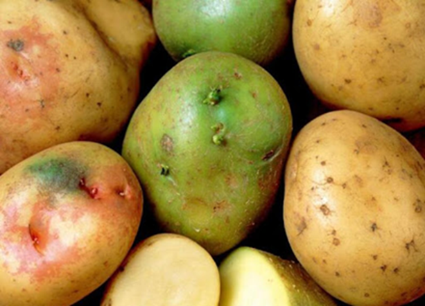 2 vợ chồng c&ugrave;ng l&uacute;c ph&aacute;t hiện ung thư gan, b&aacute;c sĩ lắc đầu: 4 thực phẩm để l&acirc;u trong tủ lạnh sẽ 