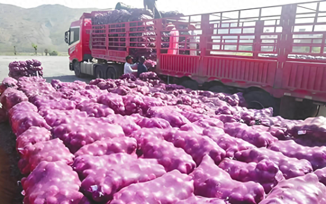 Nhận chở 20 tấn h&agrave;ng, đến nơi chủ thu&ecirc; kh&ocirc;ng chịu nhận m&agrave; c&ograve;n b&aacute;o cảnh s&aacute;t, t&ograve;a &aacute;n tuy&ecirc;n bố: &ldquo;Phải trả th&ecirc;m tiền&rdquo;- Ảnh 2.