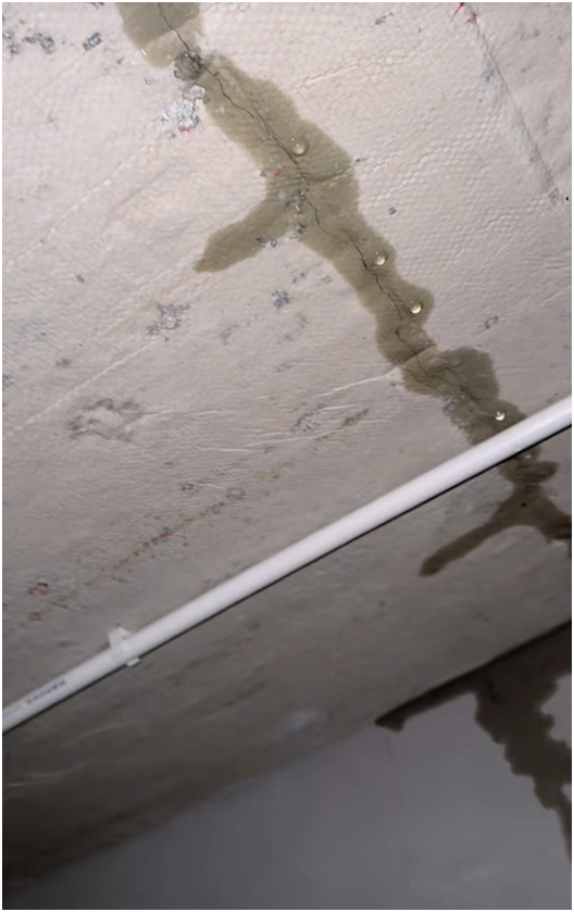 Nấu t&ocirc;m h&ugrave;m, vịt quay đ&atilde;i thợ x&acirc;y trong 3 th&aacute;ng, mới dọn v&agrave;o ở đ&atilde; nứt trần, mưa dột xối xả: TikToker miền T&acirc;y "kh&oacute;c r&ograve;ng"!- Ảnh 5.