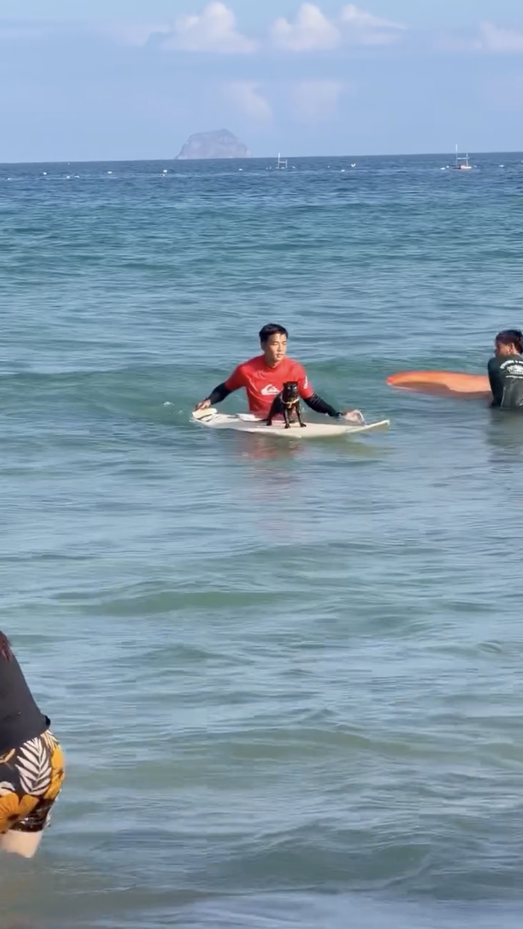 Sốc ch&uacute; m&egrave;o đen lướt s&oacute;ng ở Nha Trang l&agrave;m khối anh em ngậm ng&ugrave;i nhận thua- Ảnh 4.