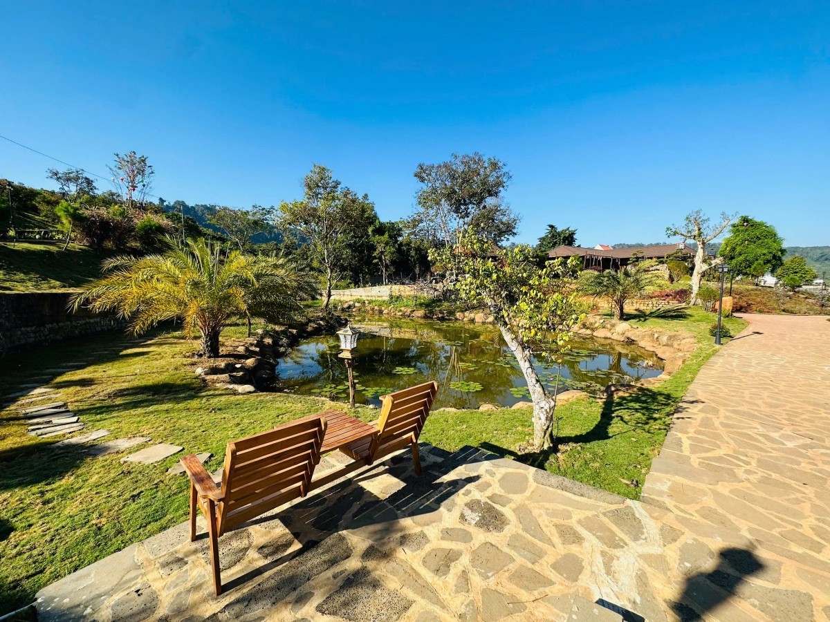 Nghệ sĩ Việt xây “thiên đường dưỡng già” 10.000m² giữa đồi: Bên trong có "kho báu" khiến ai ghé cũng muốn check-in- Ảnh 4. Nghệ sĩ Việt xây “thiên đường dưỡng già” 10.000m² giữa đồi: Bên trong có "kho báu" khiến ai ghé cũng muốn check-in- Ảnh 4.