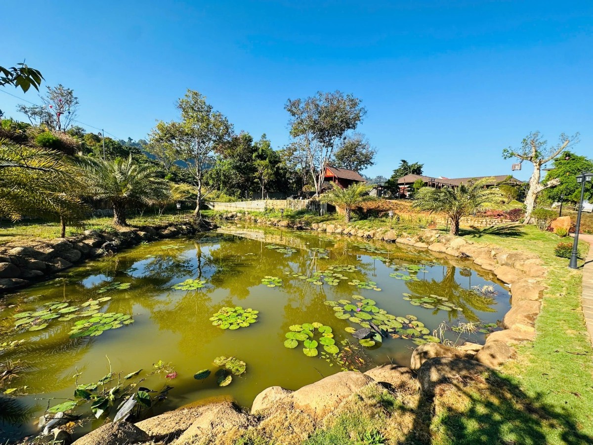 Nghệ sĩ Việt xây “thiên đường dưỡng già” 10.000m² giữa đồi: Bên trong có "kho báu" khiến ai ghé cũng muốn check-in- Ảnh 3. Nghệ sĩ Việt xây “thiên đường dưỡng già” 10.000m² giữa đồi: Bên trong có "kho báu" khiến ai ghé cũng muốn check-in- Ảnh 3.