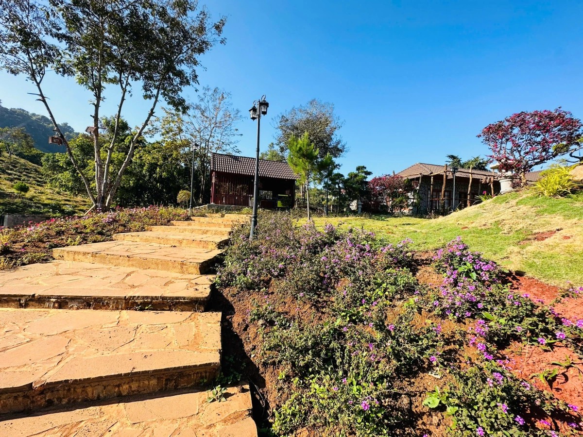 Nghệ sĩ Việt xây “thiên đường dưỡng già” 10.000m² giữa đồi: Bên trong có "kho báu" khiến ai ghé cũng muốn check-in- Ảnh 5. Nghệ sĩ Việt xây “thiên đường dưỡng già” 10.000m² giữa đồi: Bên trong có "kho báu" khiến ai ghé cũng muốn check-in- Ảnh 5.