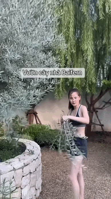 Đại mỹ nh&acirc;n ở dinh thự 55 tỷ, m&ecirc; &ldquo;trồng rau nu&ocirc;i c&aacute;&rdquo;: Vibe chữa l&agrave;nh mạnh mẽ tr&agrave;n m&agrave;n h&igrave;nh- Ảnh 6.