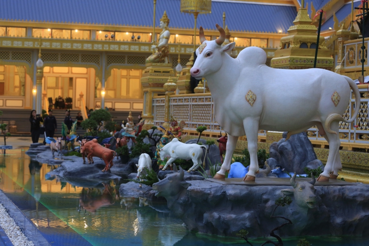 Tại sao người Th&aacute;i Lan hầu như kh&ocirc;ng ăn thịt b&ograve;?- Ảnh 2.