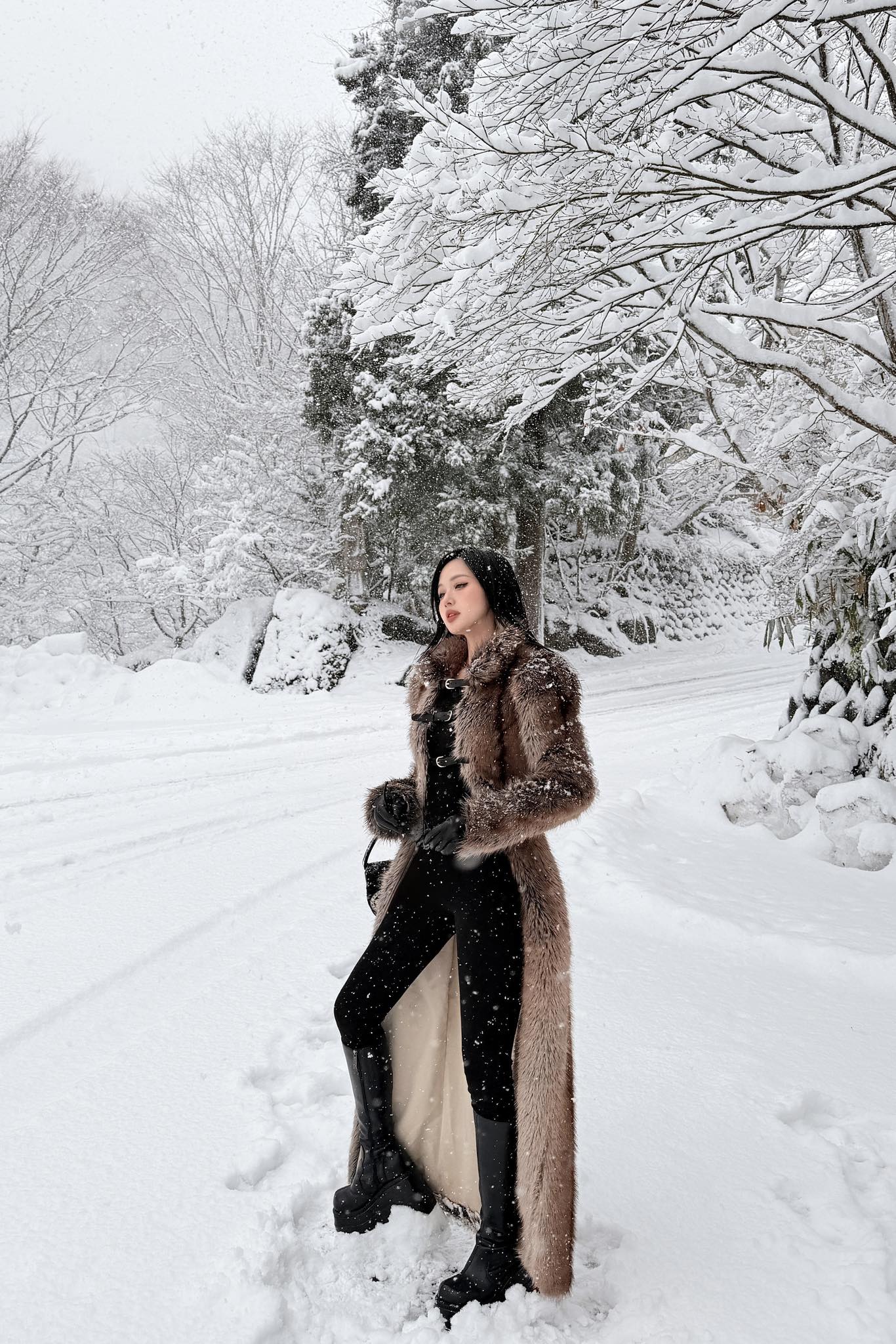 T&igrave;nh h&igrave;nh hiện tại của T&acirc;m T&iacute;t- Ảnh 5.