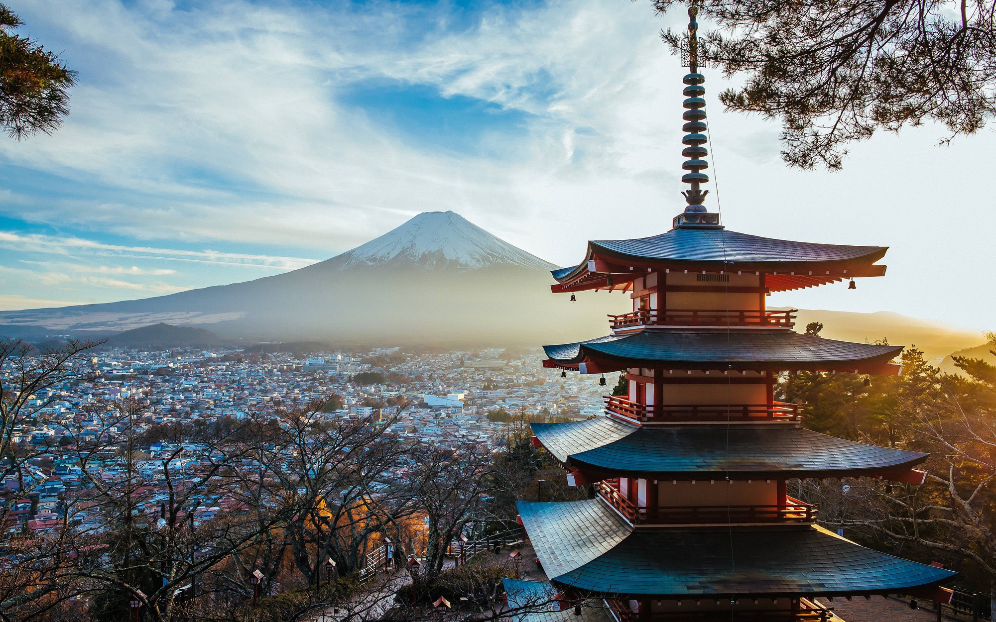 Ng&ocirc;n ngữ nằm trong top kh&oacute; nhất thế giới nhưng lại rất phổ biến ở Việt Nam, cơ hội việc l&agrave;m rộng mở, mức lương l&ecirc;n tới 60 triệu đồng- Ảnh 4.