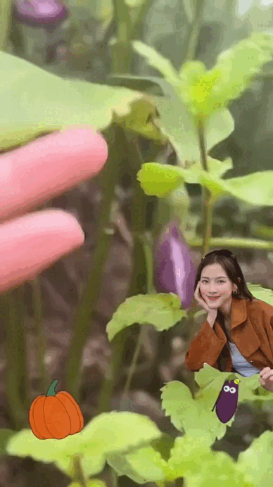 Đại mỹ nh&acirc;n ở dinh thự 55 tỷ, m&ecirc; &ldquo;trồng rau nu&ocirc;i c&aacute;&rdquo;: Vibe chữa l&agrave;nh mạnh mẽ tr&agrave;n m&agrave;n h&igrave;nh- Ảnh 10.