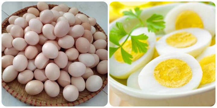 Số lượng trứng n&ecirc;n ăn mỗi tuần ở từng nh&oacute;m tuổi- Ảnh 1.