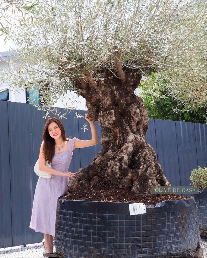 Đại mỹ nh&acirc;n ở dinh thự 55 tỷ, m&ecirc; &ldquo;trồng rau nu&ocirc;i c&aacute;&rdquo;: Vibe chữa l&agrave;nh mạnh mẽ tr&agrave;n m&agrave;n h&igrave;nh- Ảnh 16.