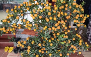 Vụ ngộ độc b&aacute;nh m&igrave; vỉa h&egrave;: Số người nhập viện l&ecirc;n 79 người- Ảnh 2.