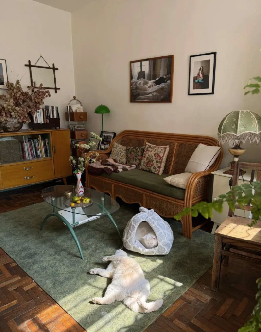 Cụ b&agrave; 73 tuổi kh&ocirc;ng phiền con ch&aacute;u, gi&agrave; đi lặng lẽ trong căn nh&agrave; cũ ở qu&ecirc;: Cuộc sống dịu d&agrave;ng, chữa l&agrave;nh đến lạ- Ảnh 3.