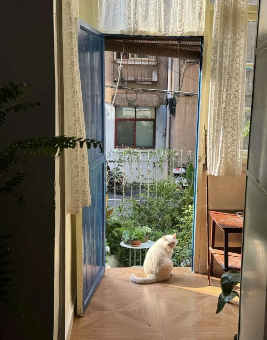 Cụ b&agrave; 73 tuổi kh&ocirc;ng phiền con ch&aacute;u, gi&agrave; đi lặng lẽ trong căn nh&agrave; cũ ở qu&ecirc;: Cuộc sống dịu d&agrave;ng, chữa l&agrave;nh đến lạ- Ảnh 2.