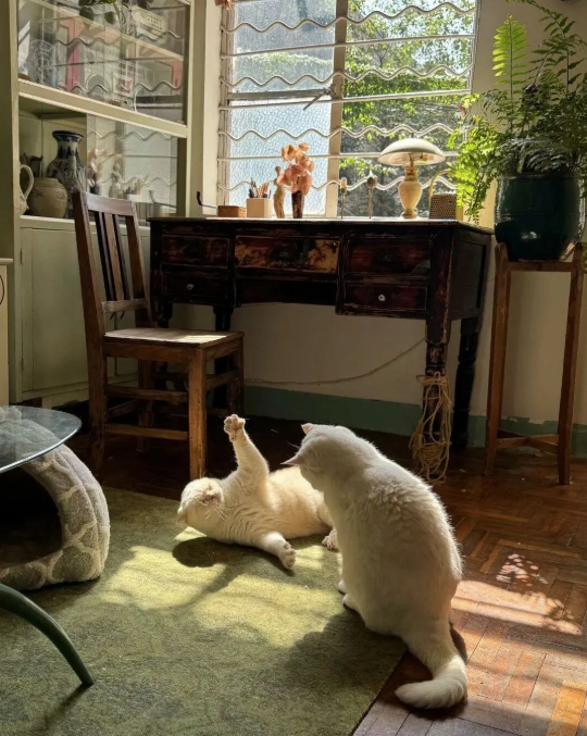 Cụ b&agrave; 73 tuổi kh&ocirc;ng phiền con ch&aacute;u, gi&agrave; đi lặng lẽ trong căn nh&agrave; cũ ở qu&ecirc;: Cuộc sống dịu d&agrave;ng, chữa l&agrave;nh đến lạ- Ảnh 5.