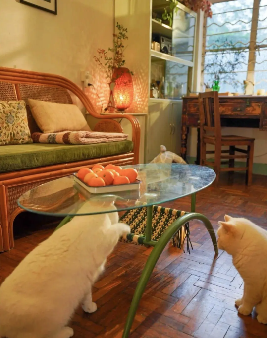 Cụ b&agrave; 73 tuổi kh&ocirc;ng phiền con ch&aacute;u, gi&agrave; đi lặng lẽ trong căn nh&agrave; cũ ở qu&ecirc;: Cuộc sống dịu d&agrave;ng, chữa l&agrave;nh đến lạ- Ảnh 9.