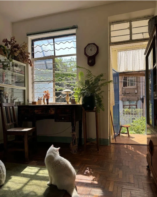 Cụ b&agrave; 73 tuổi kh&ocirc;ng phiền con ch&aacute;u, gi&agrave; đi lặng lẽ trong căn nh&agrave; cũ ở qu&ecirc;: Cuộc sống dịu d&agrave;ng, chữa l&agrave;nh đến lạ- Ảnh 10.