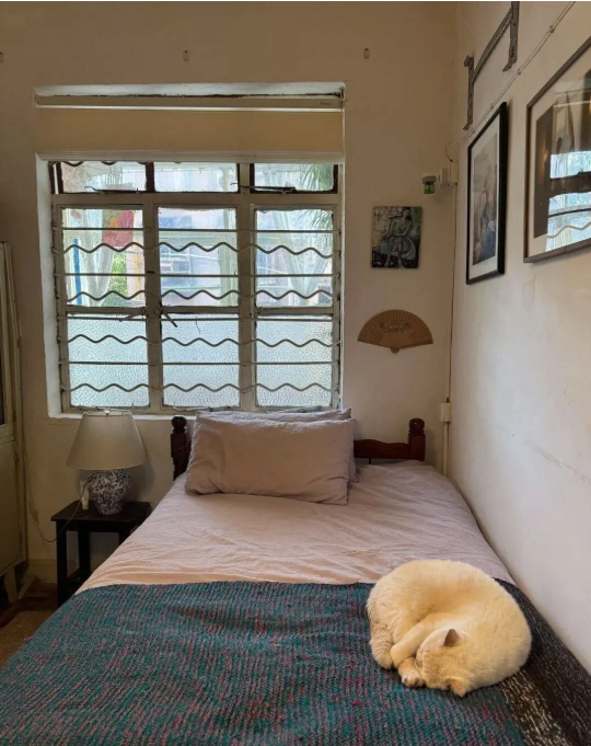 Cụ b&agrave; 73 tuổi kh&ocirc;ng phiền con ch&aacute;u, gi&agrave; đi lặng lẽ trong căn nh&agrave; cũ ở qu&ecirc;: Cuộc sống dịu d&agrave;ng, chữa l&agrave;nh đến lạ- Ảnh 12.