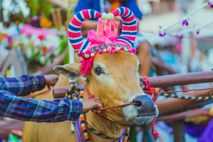 Tại sao người Th&aacute;i Lan hầu như kh&ocirc;ng ăn thịt b&ograve;?- Ảnh 4.