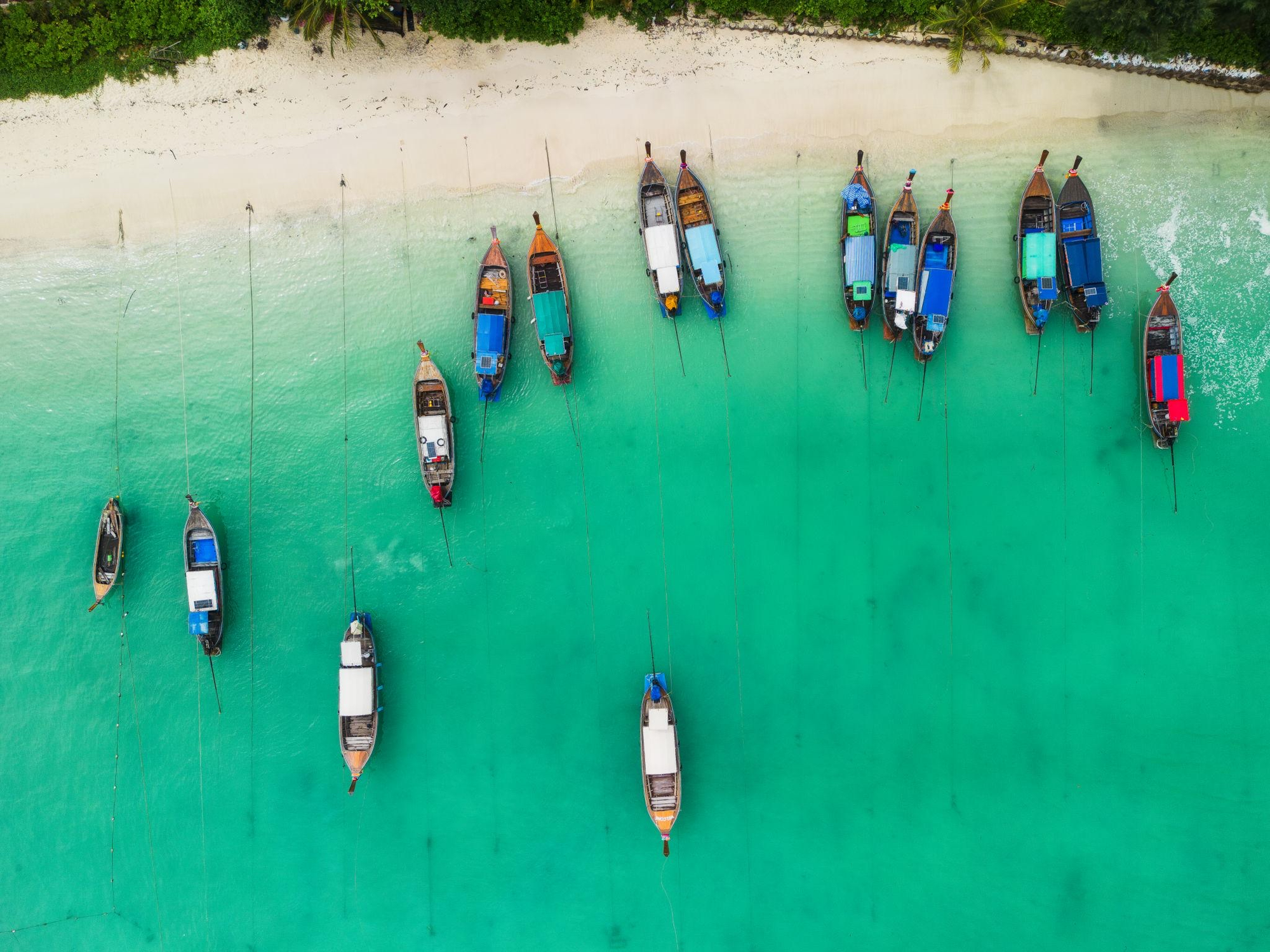 Du lịch Th&aacute;i Lan c&oacute; thể giảm đến 25% nếu khủng hoảng k&eacute;o d&agrave;i v&agrave; l&yacute; do v&igrave; sao cả Đ&ocirc;ng Nam &Aacute; đều dễ "chao đảo"?- Ảnh 3.