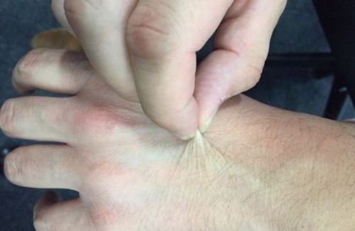 Nghi&ecirc;n cứu của Đại học Stanford cho thấy con người gi&agrave; đi nhanh nhất ở 2 mốc tuổi, bất kể nam hay nữ- Ảnh 3.