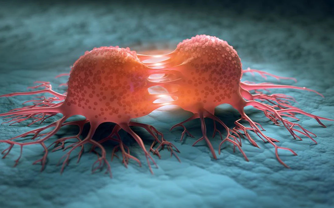 3 th&oacute;i quen gi&uacute;p "đẩy l&ugrave;i" nguy cơ ung thư v&ugrave;ng miệng - h&agrave;m - mặt- Ảnh 1.