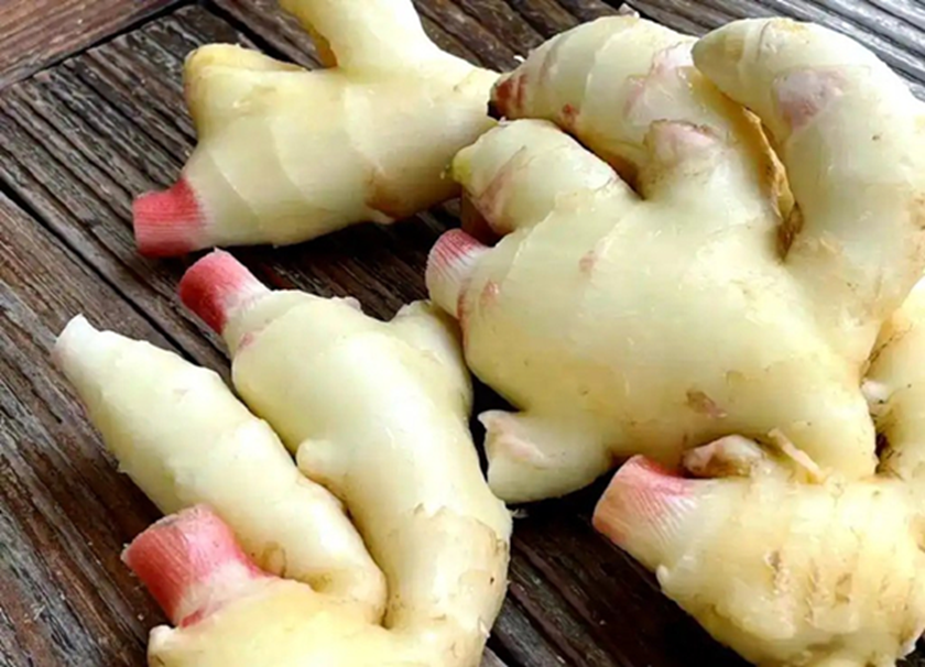 Đi chợ thấy 7 loại rau n&agrave;y phải mua ngay, cực &iacute;t thuốc trừ s&acirc;u, gi&aacute; bao nhi&ecirc;u cũng đ&aacute;ng tiền- Ảnh 2.