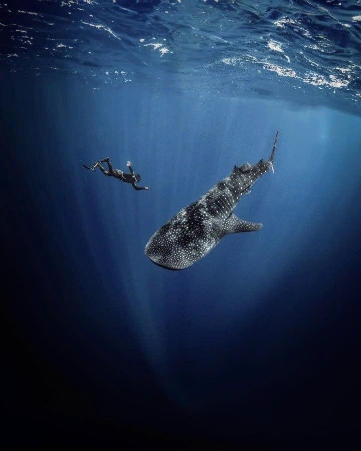 Cebu (Philippines): Khi thi&ecirc;n đường kh&ocirc;ng c&ograve;n l&agrave; giấc mơ xa xỉ với du kh&aacute;ch Việt- Ảnh 2.