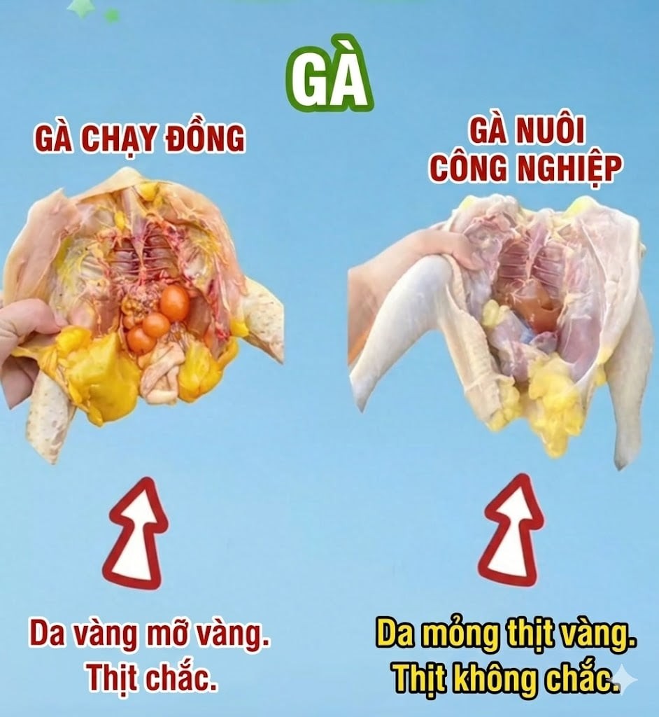 Khi mua thịt, h&atilde;y l&agrave;m theo hướng dẫn trong h&igrave;nh để tr&aacute;nh mắc sai lầm chọn phải h&agrave;ng giả, &ocirc;i thiu- Ảnh 2.