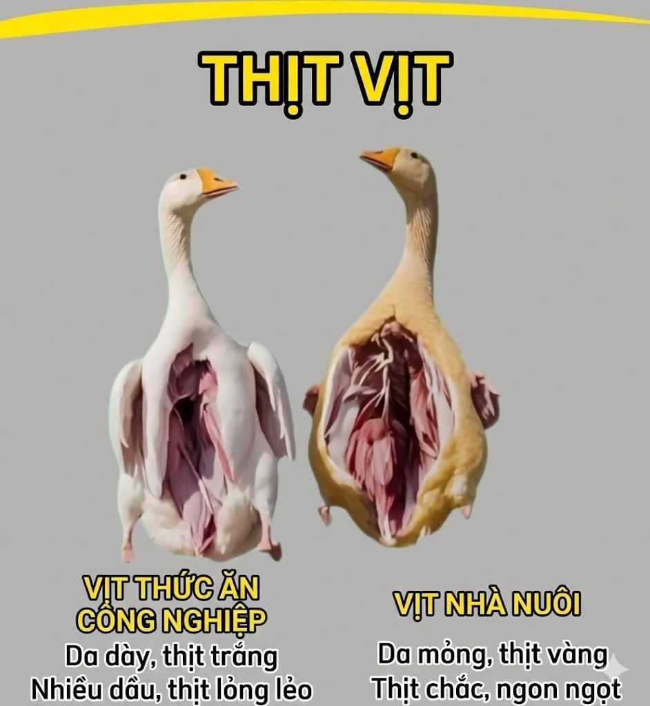 Khi mua thịt, h&atilde;y l&agrave;m theo hướng dẫn trong h&igrave;nh để tr&aacute;nh mắc sai lầm chọn phải h&agrave;ng giả, &ocirc;i thiu- Ảnh 3.