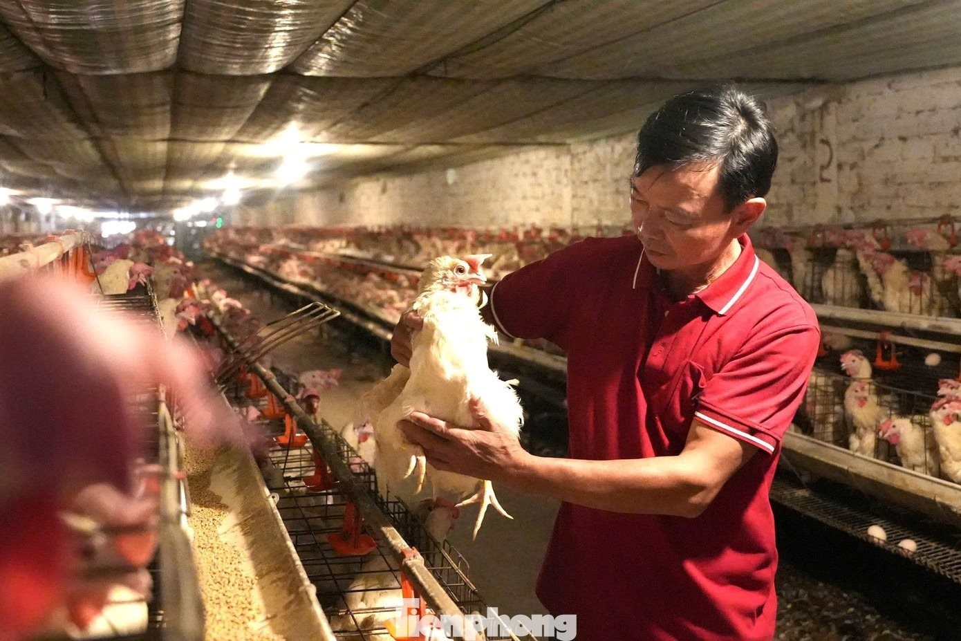 Khởi nghiệp với 5 triệu đồng, anh chủ thu về h&agrave;ng chục tỷ đồng từ một lo&agrave;i "qu&aacute;i th&uacute; si&ecirc;u trứng"- Ảnh 2.