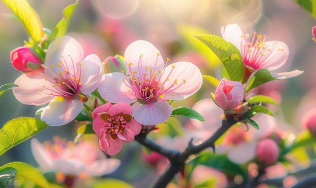 Sau 40 tuổi, v&agrave;o m&ugrave;a xu&acirc;n n&ecirc;n "che k&iacute;n" 4 bộ phận n&agrave;y: Nhiều người chủ quan n&ecirc;n dễ mắc bệnh- Ảnh 1.