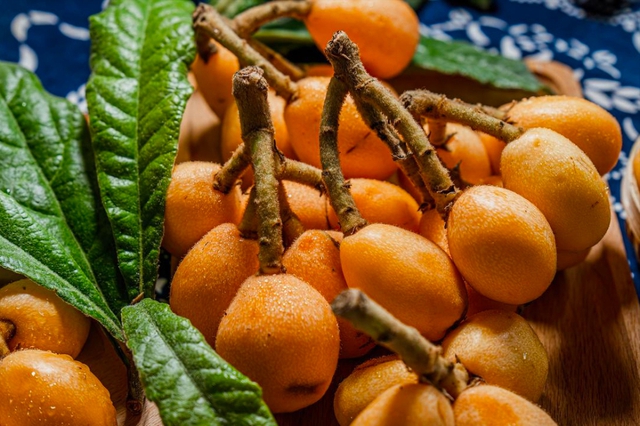 4 loại &ldquo;tr&aacute;i c&acirc;y v&agrave;ng&rdquo; gi&uacute;p ti&ecirc;u đờm, l&agrave;m sạch phổi: Nhiều người ăn mỗi ng&agrave;y m&agrave; kh&ocirc;ng biết c&ocirc;ng dụng- Ảnh 5.