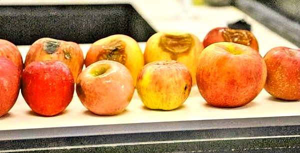 Cơ thể bỗng xuất hiện 4 m&ugrave;i n&agrave;y: Đừng vội bỏ qua, c&oacute; thể l&agrave; lời cảnh b&aacute;o của gan, thận, dạ d&agrave;y- Ảnh 2.