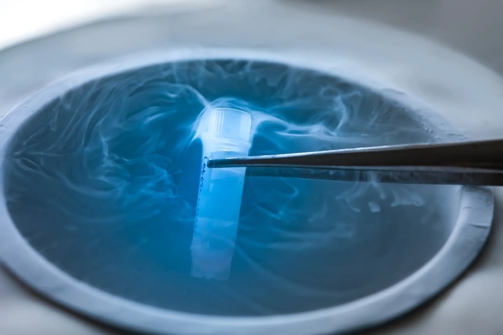 V&igrave; sao ng&agrave;y c&agrave;ng nhiều phụ nữ trữ đ&ocirc;ng trứng sớm?- Ảnh 2.