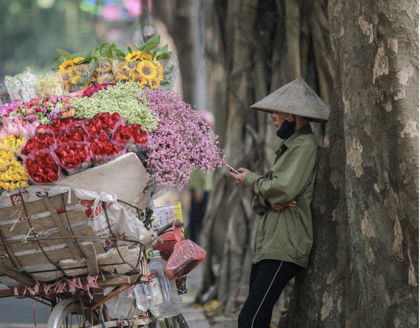 Thời tiết 8/3 sẽ thế n&agrave;o?- Ảnh 1.