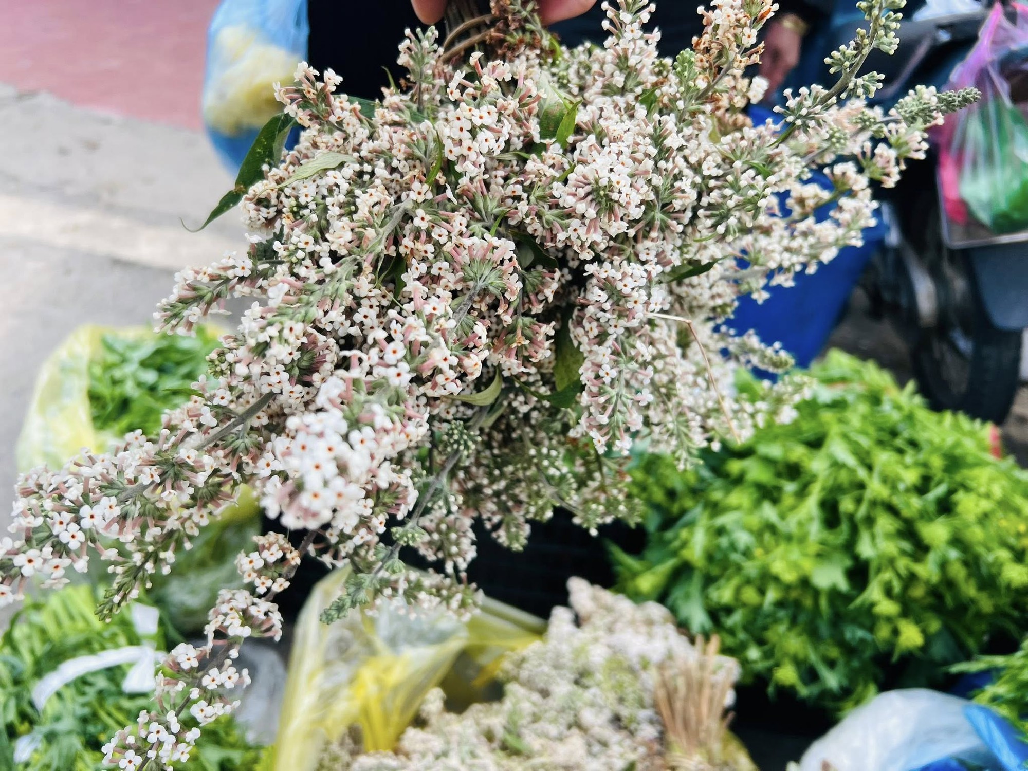 Đi du lịch T&acirc;y Bắc đầu năm, đừng qu&ecirc;n gh&eacute; chợ phi&ecirc;n: &Ocirc;m "kho b&aacute;u" nấm qu&yacute;, mật rừng, rau sạch về xu&ocirc;i với gi&aacute; hợp l&yacute; cũng mua được!- Ảnh 4.