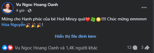 Con người thật của &ocirc;ng x&atilde; H&ograve;a Minzy- Ảnh 4.