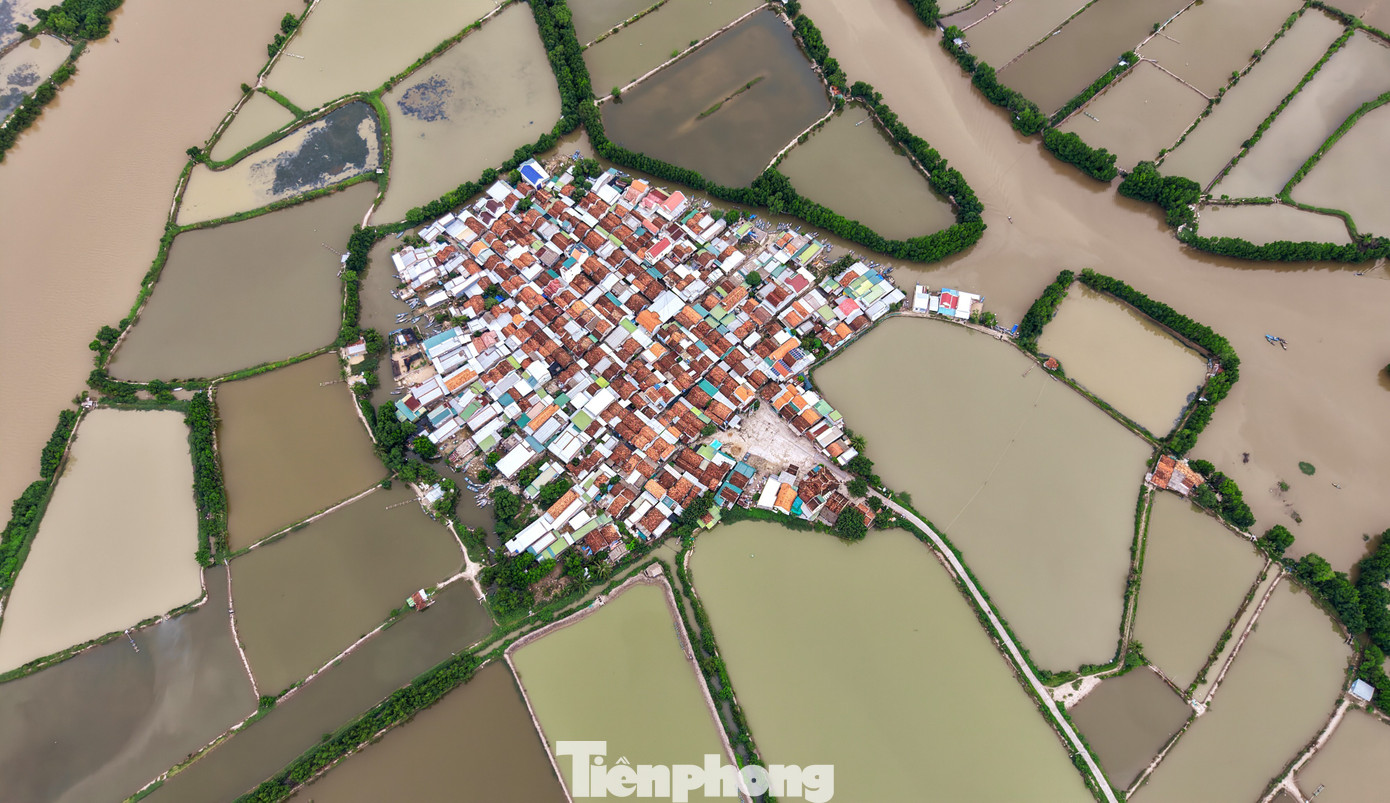 'Ốc đảo c&ocirc; đơn' h&igrave;nh c&aacute;nh diều g&acirc;y sốt ở Kh&aacute;nh H&ograve;a- Ảnh 4.