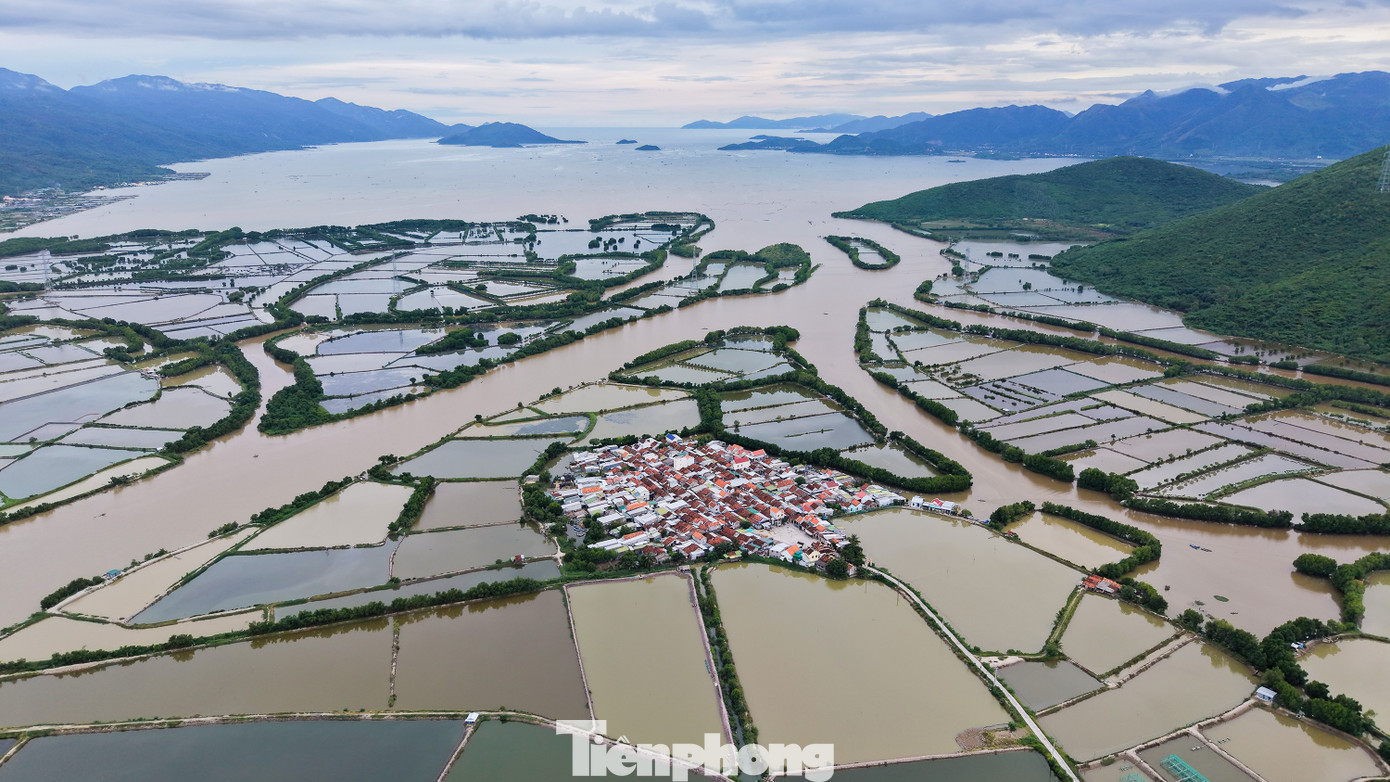 'Ốc đảo c&ocirc; đơn' h&igrave;nh c&aacute;nh diều g&acirc;y sốt ở Kh&aacute;nh H&ograve;a- Ảnh 1.