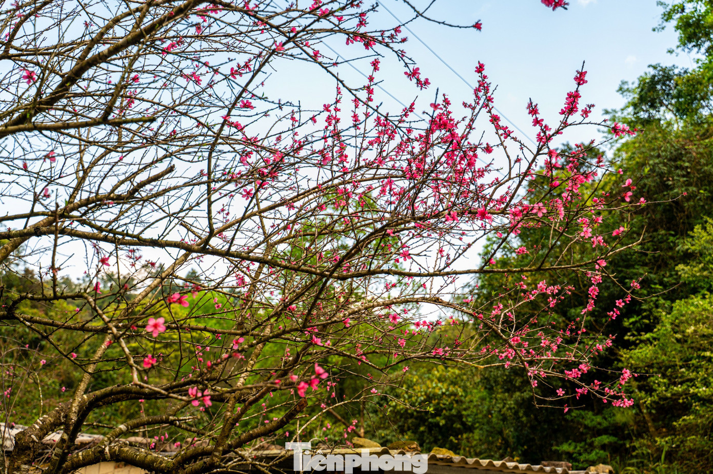 Đỉnh Mẫu Sơn sắp th&agrave;nh khu du lịch, nghỉ dưỡng đẳng cấp- Ảnh 10.