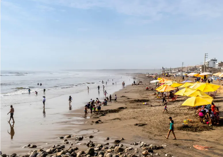 Đ&aacute;nh bom hộp đ&ecirc;m ở Peru khiến 33 người bị thương- Ảnh 1.