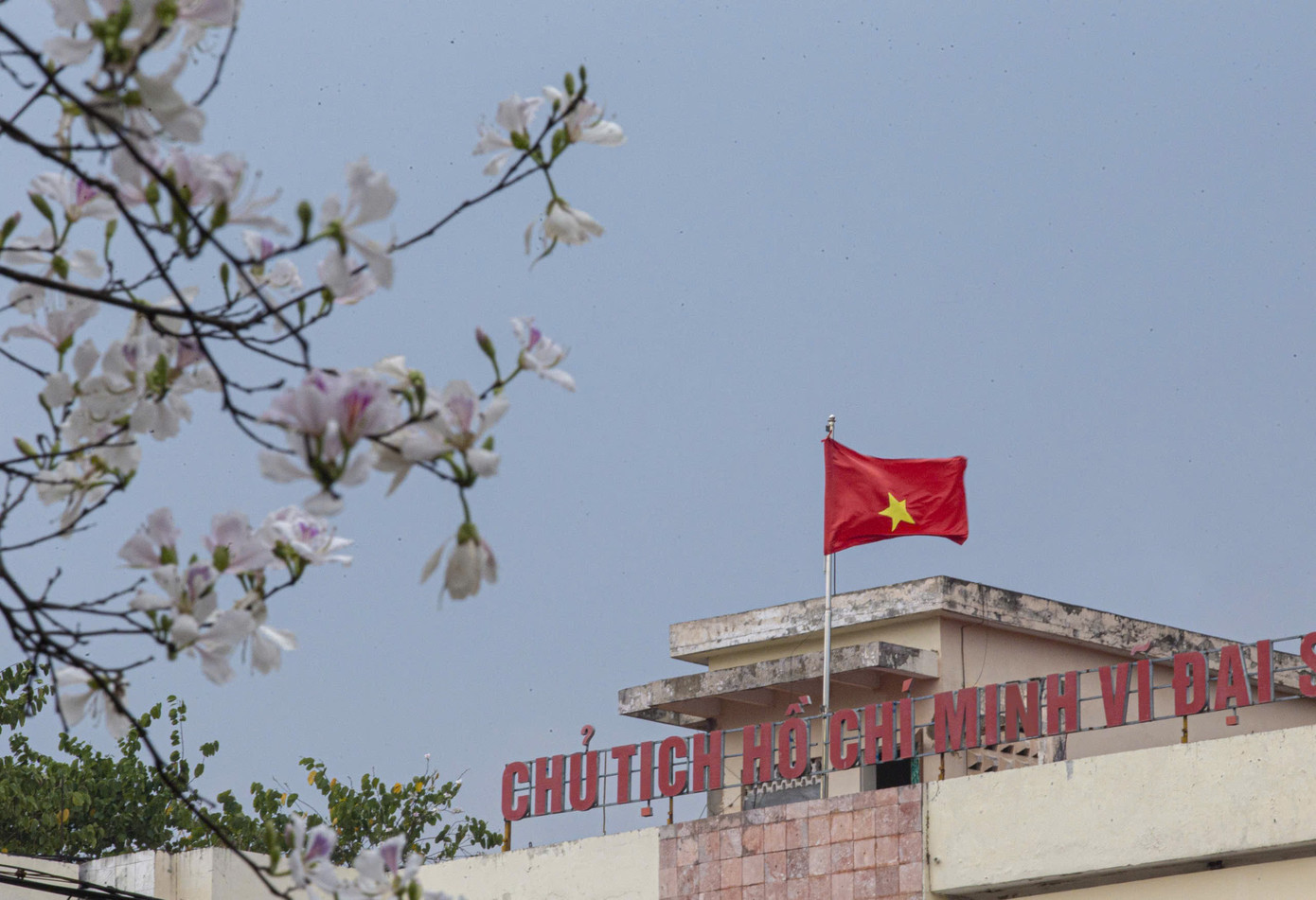 Hoa ban bung nở ngập tr&agrave;n Điện Bi&ecirc;n- Ảnh 2.